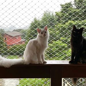 IMG 20200616 223348 326