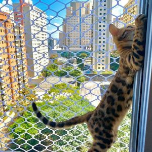 IMG 20200616 224239 763